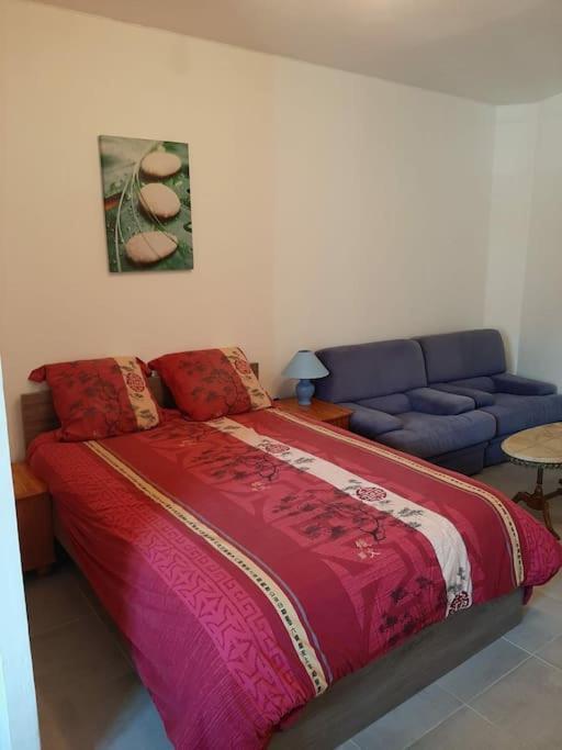 Confortable En Hyper Centre Parking Gratuit Dans La Rue Acces Avec Boite A Clee Apartment Castres  Exterior photo