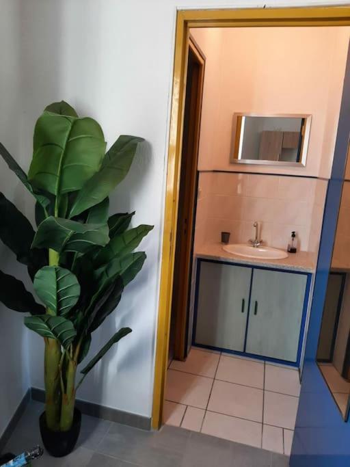 Confortable En Hyper Centre Parking Gratuit Dans La Rue Acces Avec Boite A Clee Apartment Castres  Exterior photo